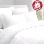 WhatsApp Image 2026-02-12 at 08.53.28